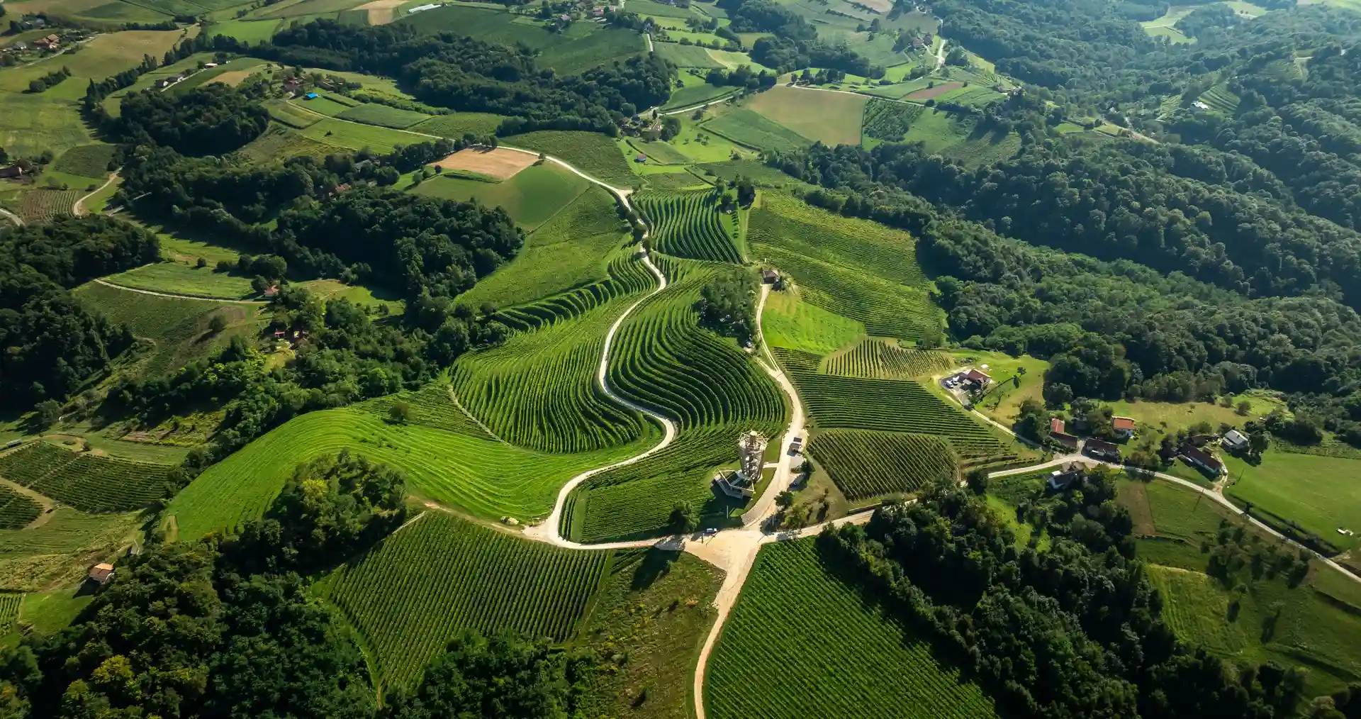 homepage hero background image