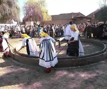 Ižimača u Beravcima