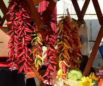 Ribarski dani u Kopačevu 