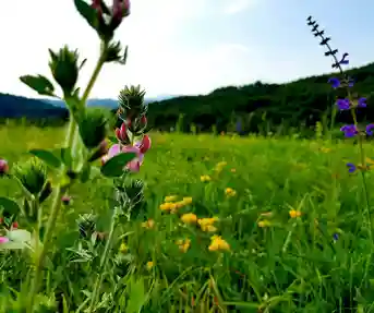 Putevima pračovjeka