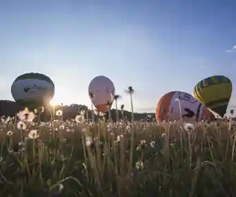 Croatia Hot Air Balloon Rally