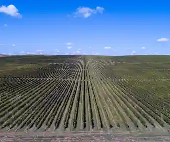 Ljeto u Slavoniji i Baranji