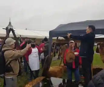 Proljetni vašar u Karancu